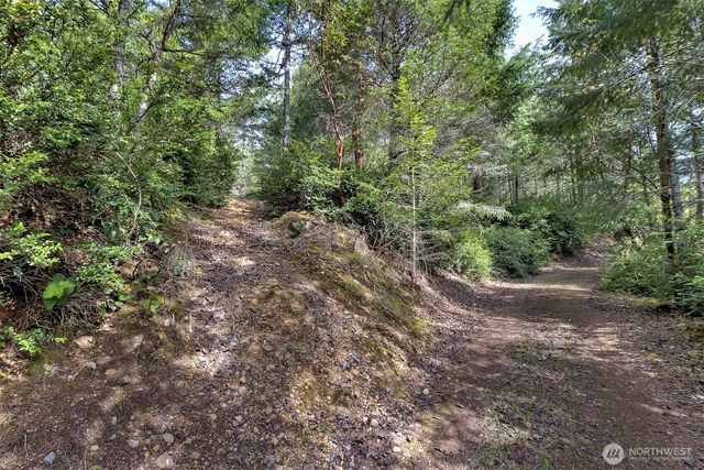 100 E Skyview Drive, Union, WA 98592