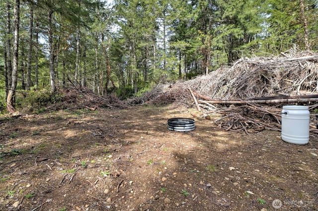 100 E Skyview Drive, Union, WA 98592