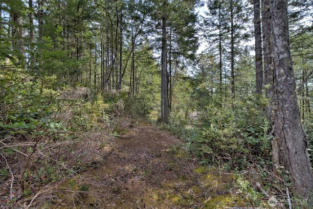 100 E Skyview Drive, Union, WA 98592