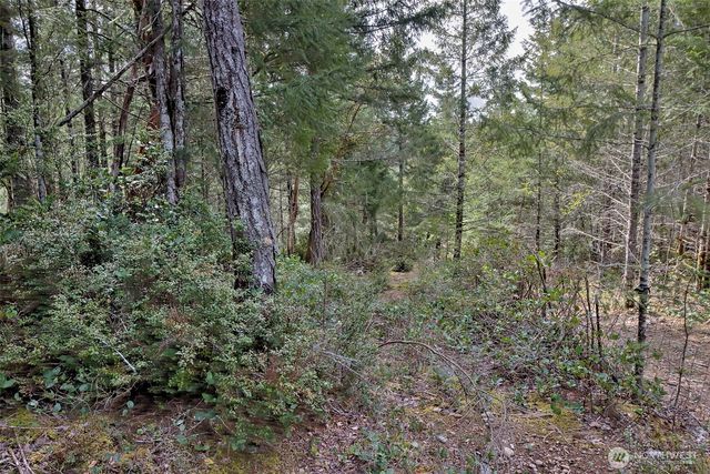 100 E Skyview Drive, Union, WA 98592