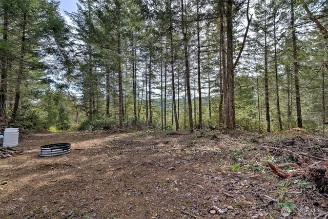 100 E Skyview Drive, Union, WA 98592