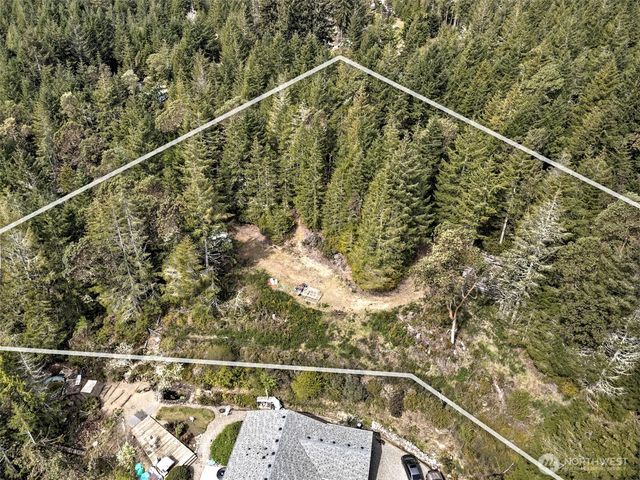 100 E Skyview Drive, Union, WA 98592