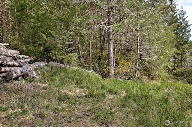 100 E Skyview Drive, Union, WA 98592