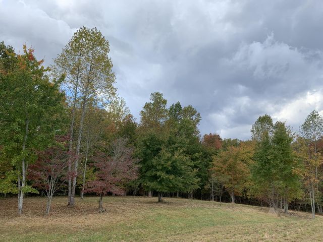 460 Cherokee Path, Jasper, TN 37347