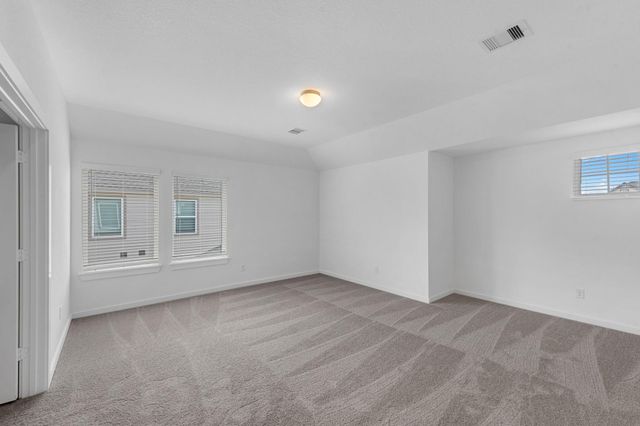 56 Shining Point Drive, Waller, TX 77484