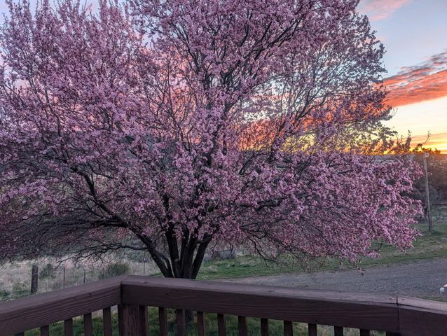 17550 S Poe Valley Road, Klamath Falls, OR 97603