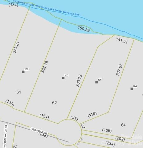 200 Pier Point Drive, Connelly Springs, NC 28612