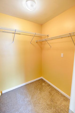 274 Sweet Alyssum Drive, Ladson, SC 29456
