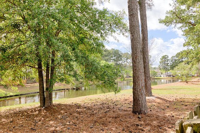 274 Sweet Alyssum Drive, Ladson, SC 29456