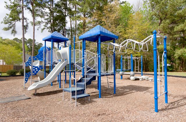 274 Sweet Alyssum Drive, Ladson, SC 29456