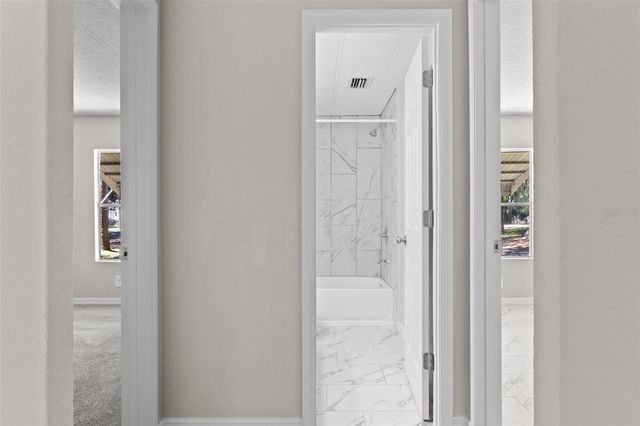 3547 CR 405, Lake Panasoffkee, FL 33538