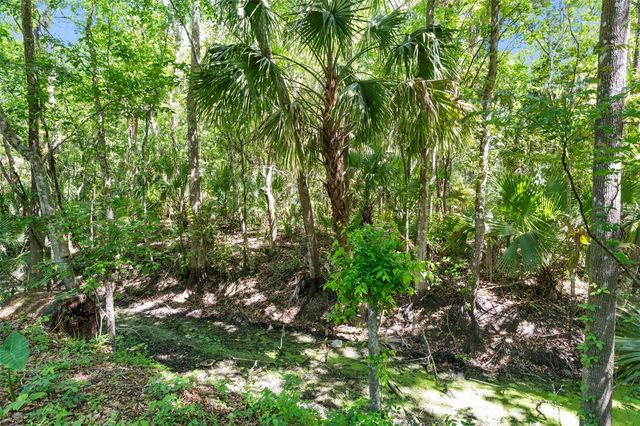 3547 CR 405, Lake Panasoffkee, FL 33538