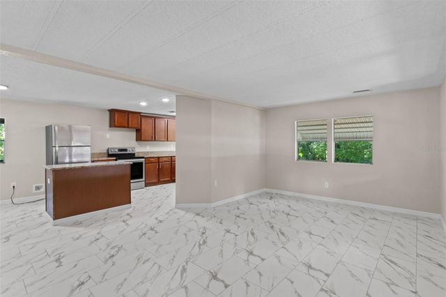 3547 CR 405, Lake Panasoffkee, FL 33538