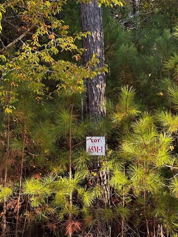 Lot 65 Green Terrace, Newnan, GA 30265