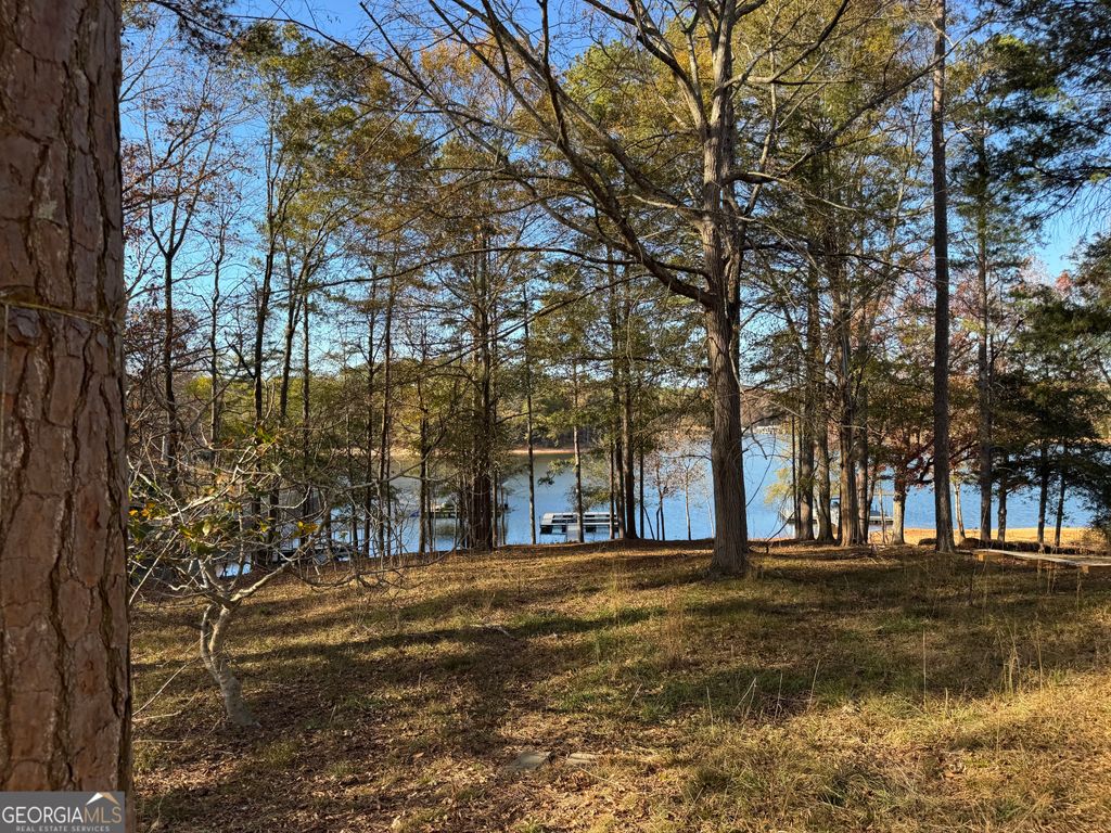 33 Flint Road, Hartwell, GA 30643 — photo 2