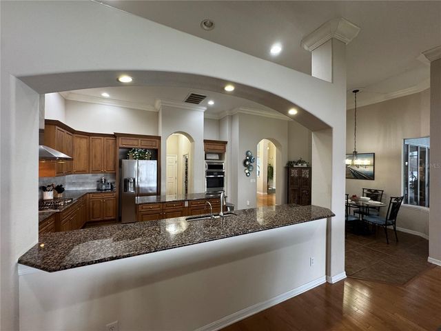 21001 LAKE VIENNA DRIVE, Land O Lakes, FL 34638