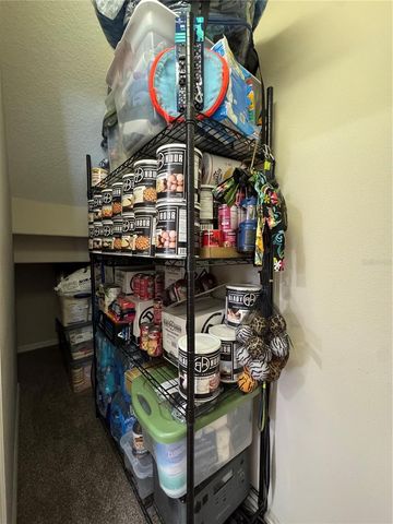 21001 LAKE VIENNA DRIVE, Land O Lakes, FL 34638