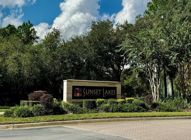 21001 LAKE VIENNA DRIVE, Land O Lakes, FL 34638