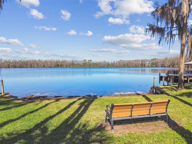 21001 LAKE VIENNA DRIVE, Land O Lakes, FL 34638