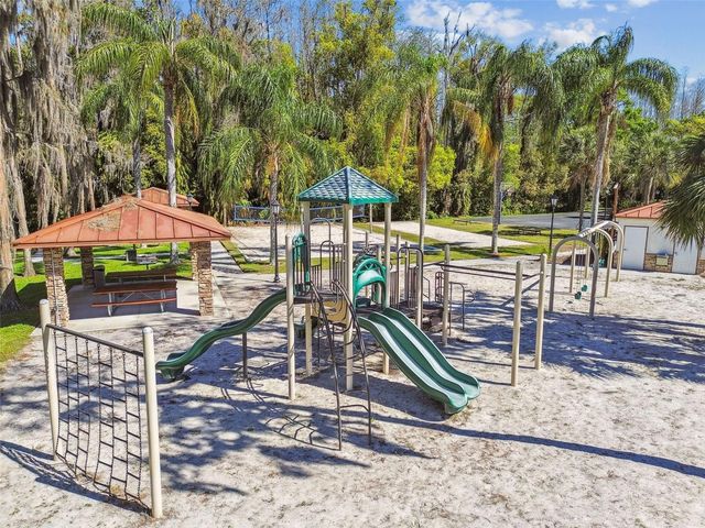 21001 LAKE VIENNA DRIVE, Land O Lakes, FL 34638