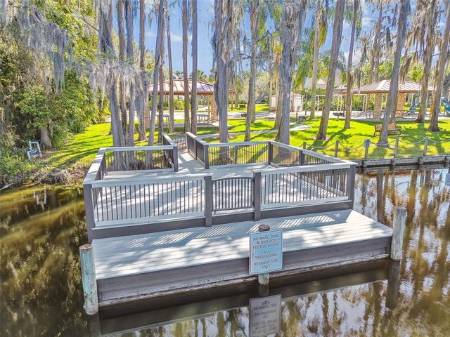 21001 LAKE VIENNA DRIVE, Land O Lakes, FL 34638
