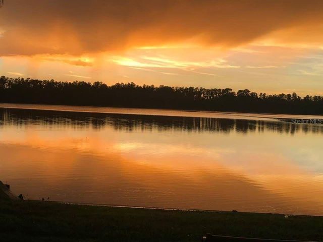 21001 LAKE VIENNA DRIVE, Land O Lakes, FL 34638