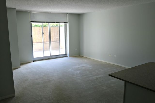 545 N Dearborn Street W909, Chicago, IL 60654