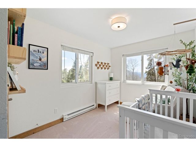 11544 Green Ct, Conifer, CO 80433