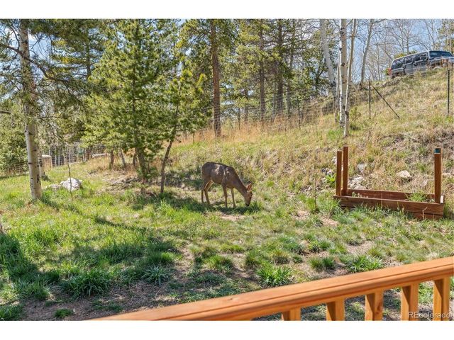 11544 Green Ct, Conifer, CO 80433