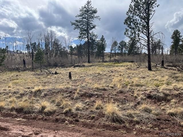 Lot 686 Cogbill Drive, Fort Garland, CO 81133