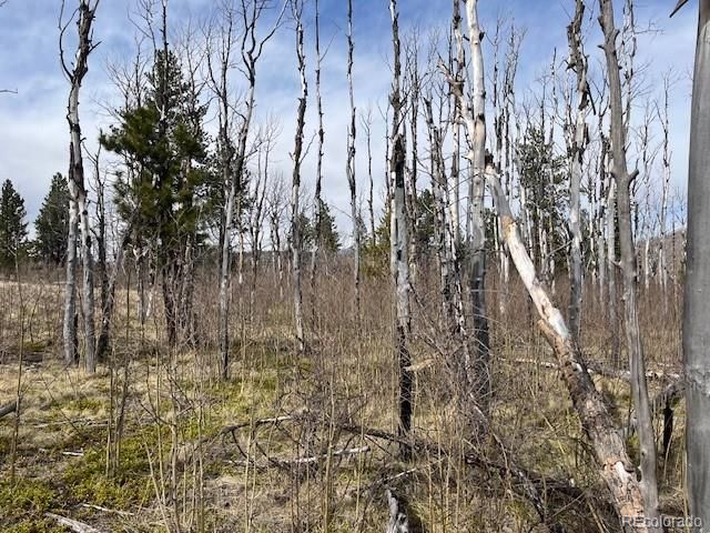 Lot 686 Cogbill Drive, Fort Garland, CO 81133