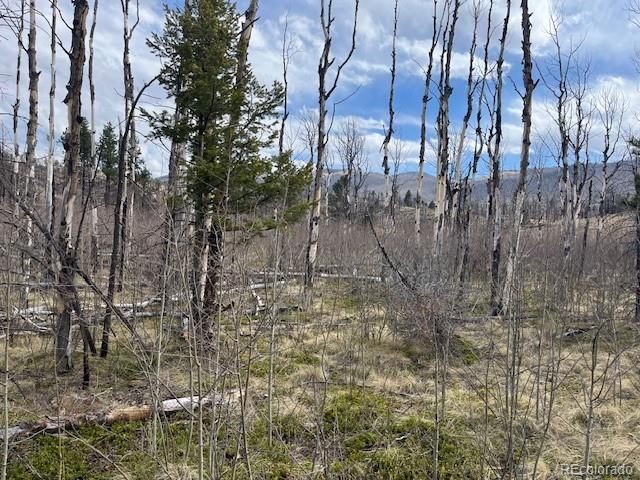 Lot 686 Cogbill Drive, Fort Garland, CO 81133