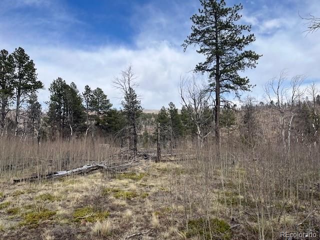 Lot 686 Cogbill Drive, Fort Garland, CO 81133