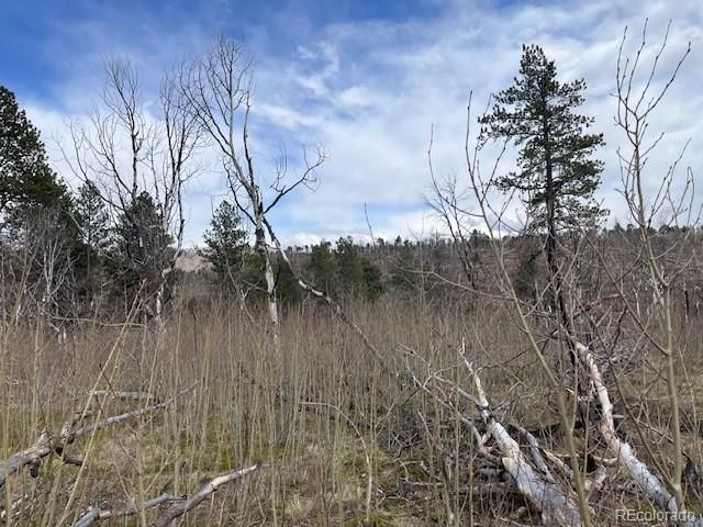 Lot 686 Cogbill Drive, Fort Garland, CO 81133
