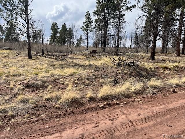 Lot 686 Cogbill Drive, Fort Garland, CO 81133