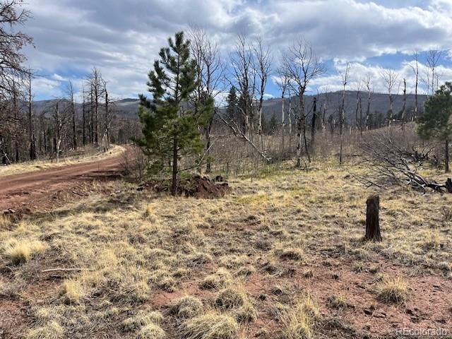 Lot 686 Cogbill Drive, Fort Garland, CO 81133