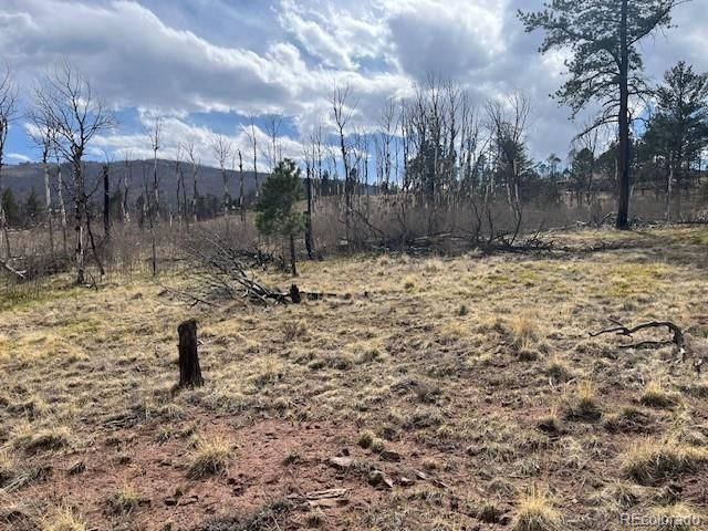 Lot 686 Cogbill Drive, Fort Garland, CO 81133
