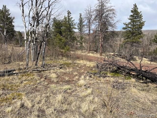 Lot 686 Cogbill Drive, Fort Garland, CO 81133