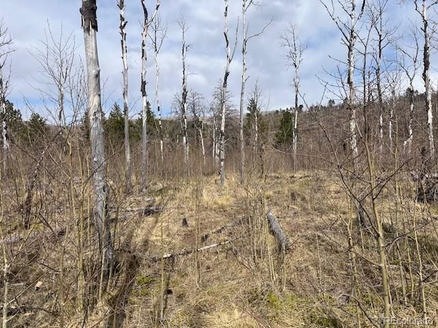 Lot 686 Cogbill Drive, Fort Garland, CO 81133