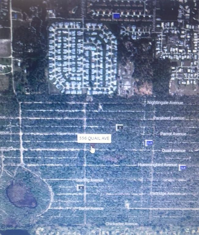 556 QUAIL AVENUE, Sebring, FL 33870