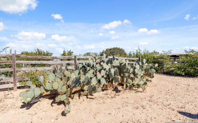 2198 CR 653, Devine, TX 78016