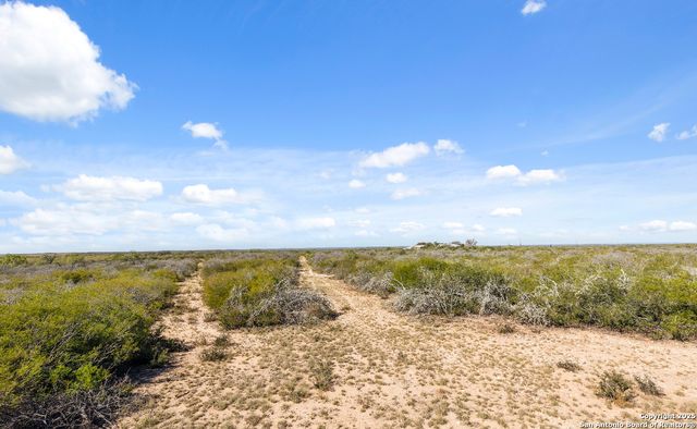 2198 CR 653, Devine, TX 78016