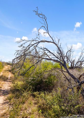 2198 CR 653, Devine, TX 78016