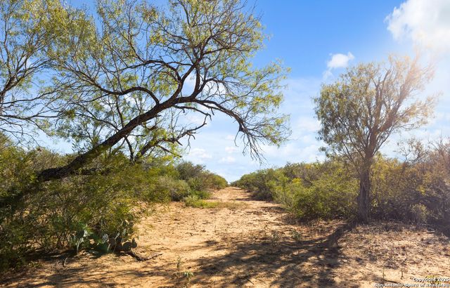 2198 CR 653, Devine, TX 78016