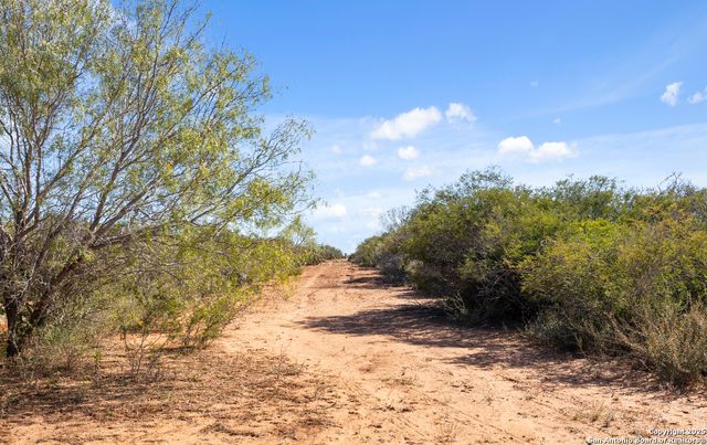 2198 CR 653, Devine, TX 78016