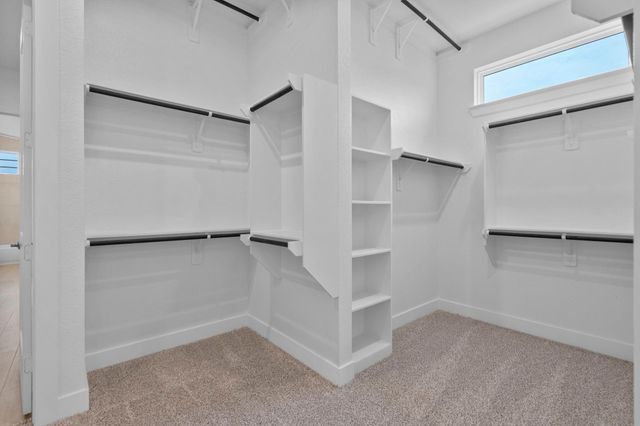 701 Cross Timbers Trace, Waller, TX 77447