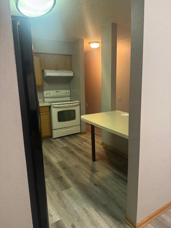 221 Grand Avenue W 306, South Saint Paul, MN 55075 — photo 5