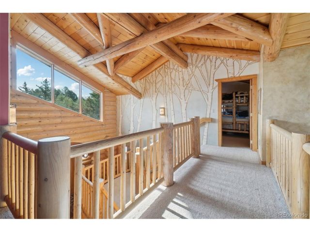 3557 Palmer Ridge Dr, Parker, CO 80134