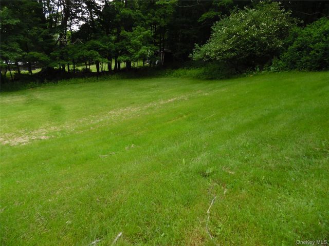 15 Cora Avenue, Liberty, NY 12754