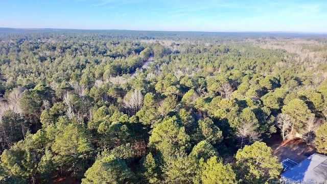 196 Autumn Drive, Vass, NC 28394